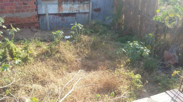 Terreno no Nova Caruaru - Foto 5