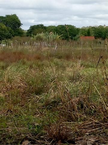 Terreno horizonte - Foto 10