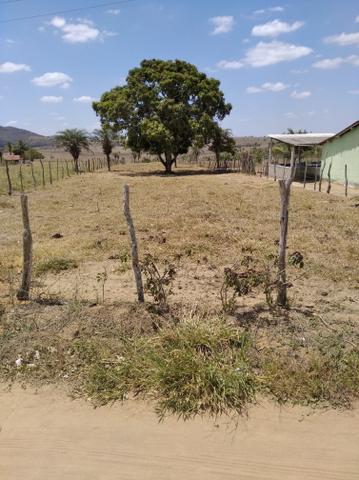 Terreno - Foto 5