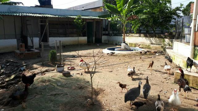 Vendo casa com ponto comercial na principal - Foto 8
