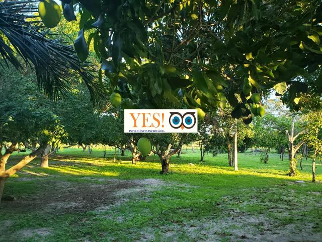 Fazenda em Humildes 95.832m2 - Foto 17