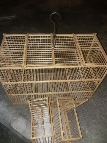 Gailas de ausapao de cassa - Foto 2