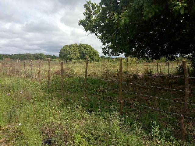 Terreno horizonte - Foto 4