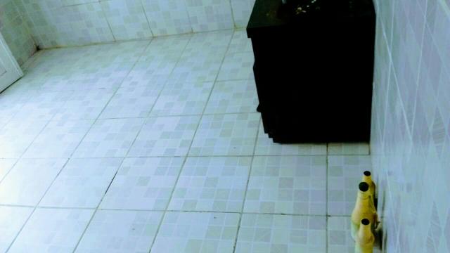 Alugo pra carnaval ideal pra 20 pessoas - Foto 8