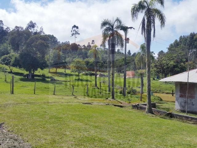 Fazenda no Taquari, Bocaiuva do Sul/PR - Foto 4