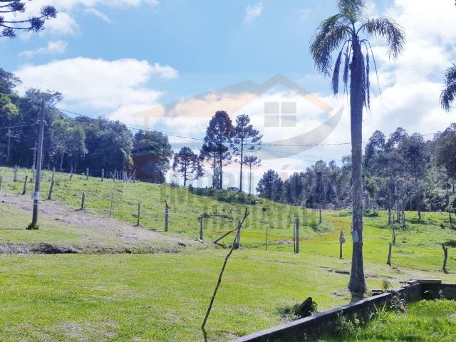 Fazenda no Taquari, Bocaiuva do Sul/PR - Foto 15