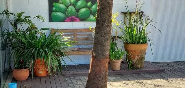 Imóvel comercial na Av. José Bento Ribeiro Dantas - Foto 4