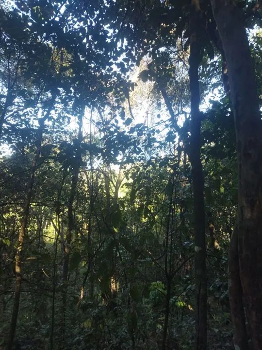 foto - Águas Lindas De Goiás - 