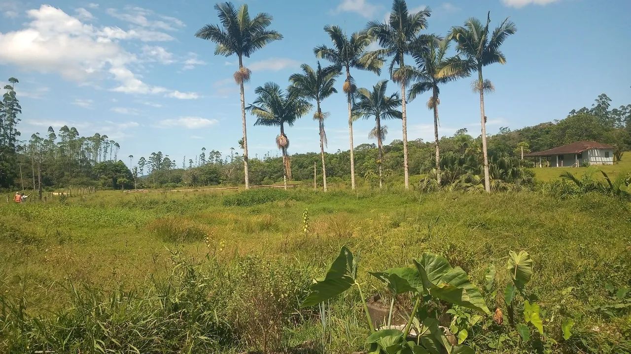 foto - São Francisco do Sul - 