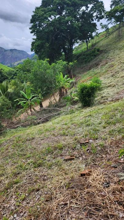 Terreno com vista espetacular em área rural - Foto 4