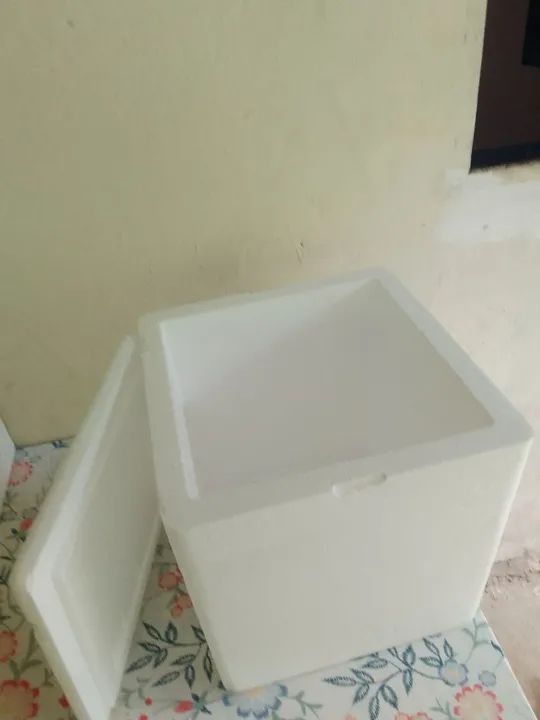 Caixa de isopor 1 - Foto 4