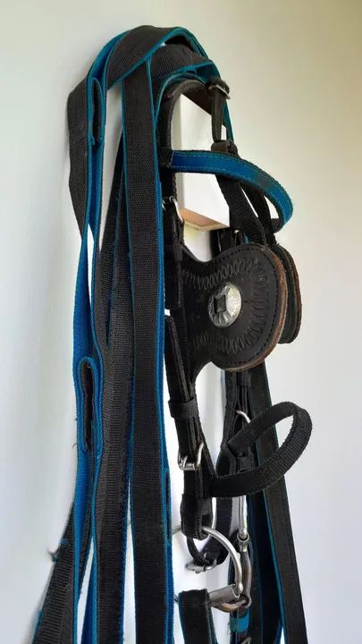 Charrete com arreio  - Foto 4