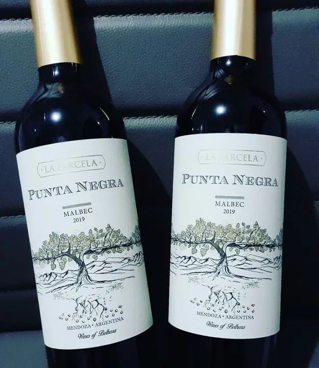 LOTE DE VINHOS  - Foto 4