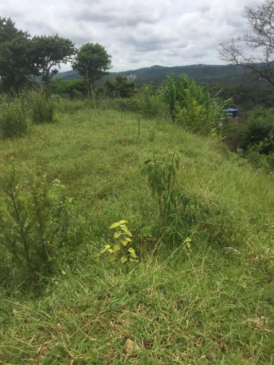 foto - Ribeirão das Neves - Alterosa