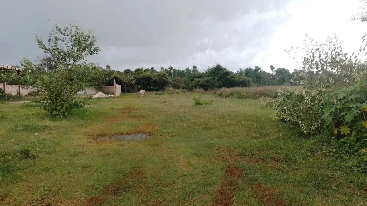 foto - Ribeirão Preto - Vila Virgínia