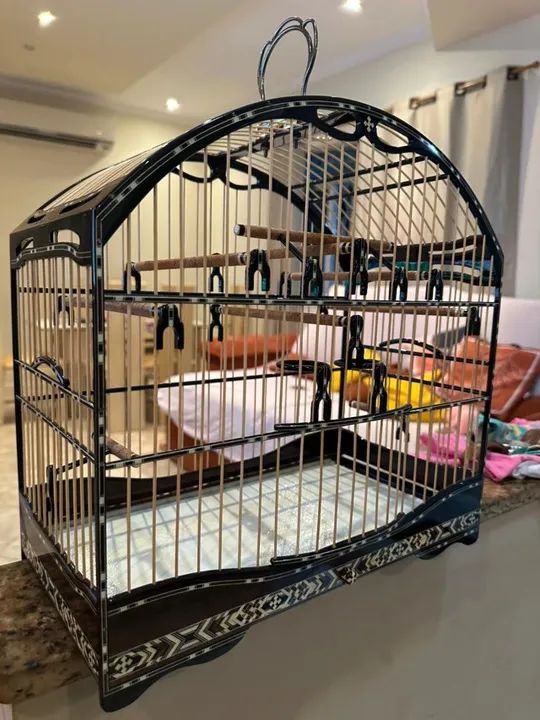 Gaiola de Coleiro Luxo - Foto 4