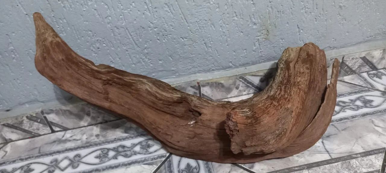 Tronco de aroeira para aquário ou terrario 