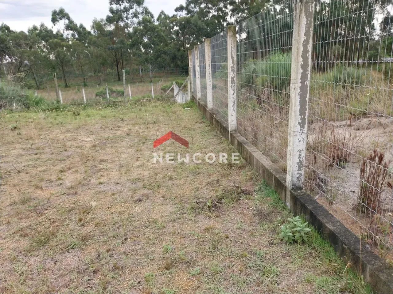 Sítio em Rua Jaime Rodrigues - Praia do Sol - Laguna/SC - Foto 11