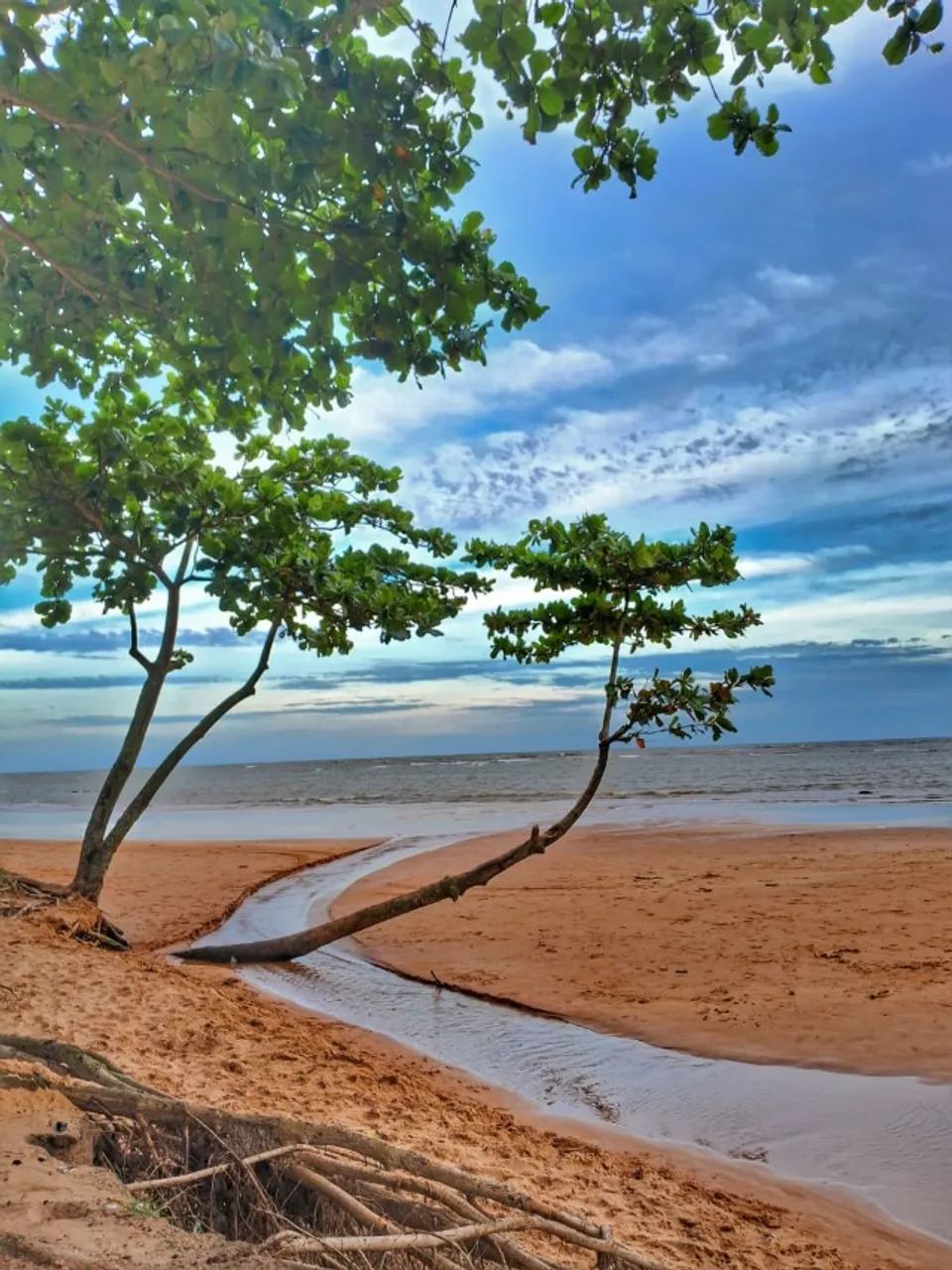 Foto - Vitória - Enseada do Suá