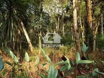 Residencial - Caucaia Do Alto - Foto 4
