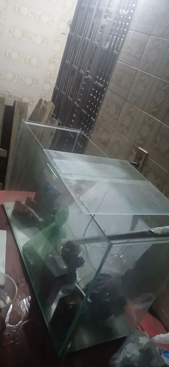 Aquário completo 