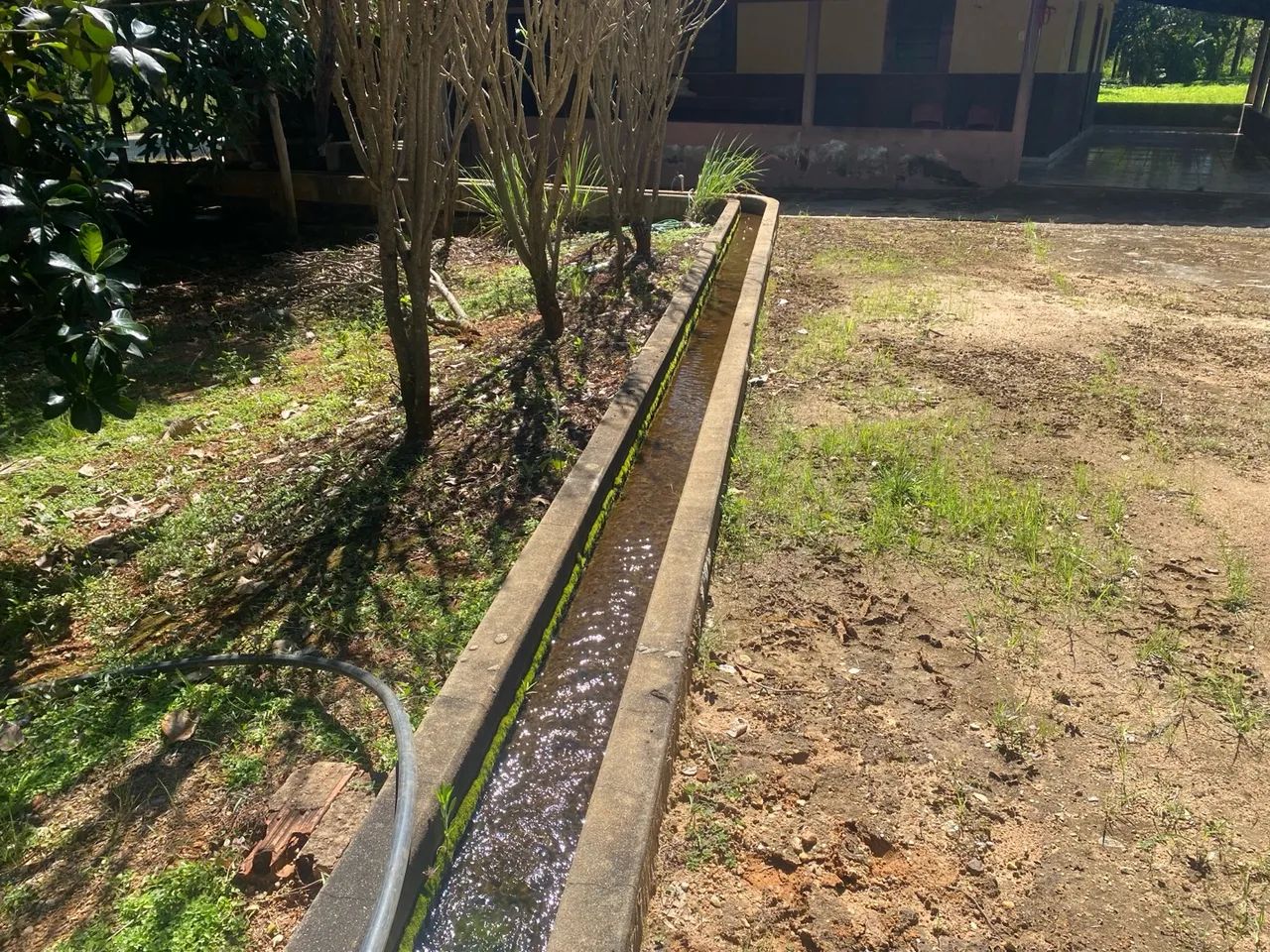 chacara de 8 alqueires em bela vista go  - Foto 2