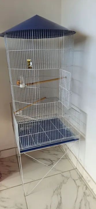 Gaiola Grande para Pássaros - Com  Telhado Azul - Foto 5