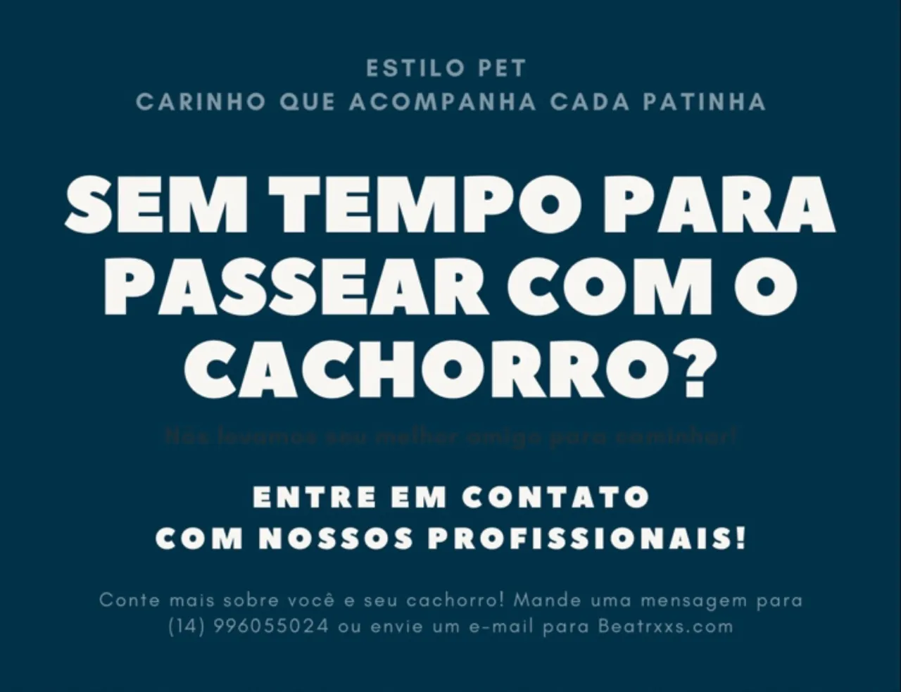 Passeios e Cuidados com Seu Cão