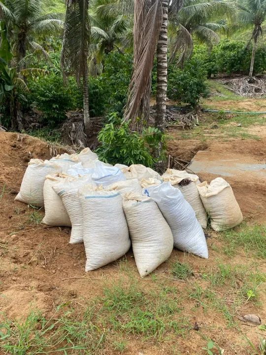 Terreno com com 2 tanques de peixe - Foto 4