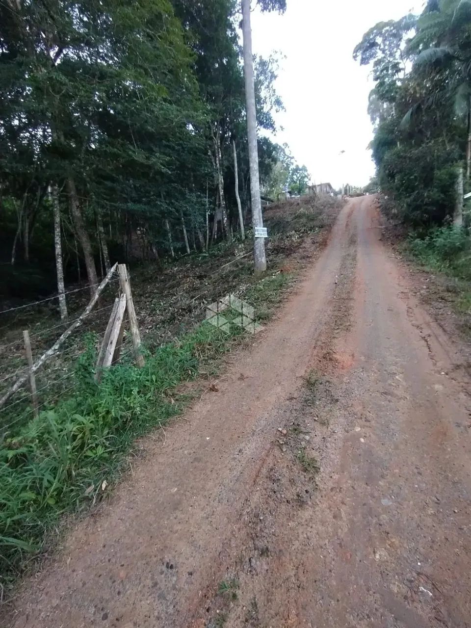 Terreno no bairro Forquilhas, em São José - SC - Foto 2