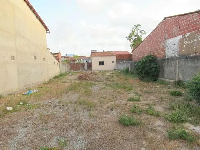 Próximo Av. Raul Barbosa com área 11 x 37. - Foto 4