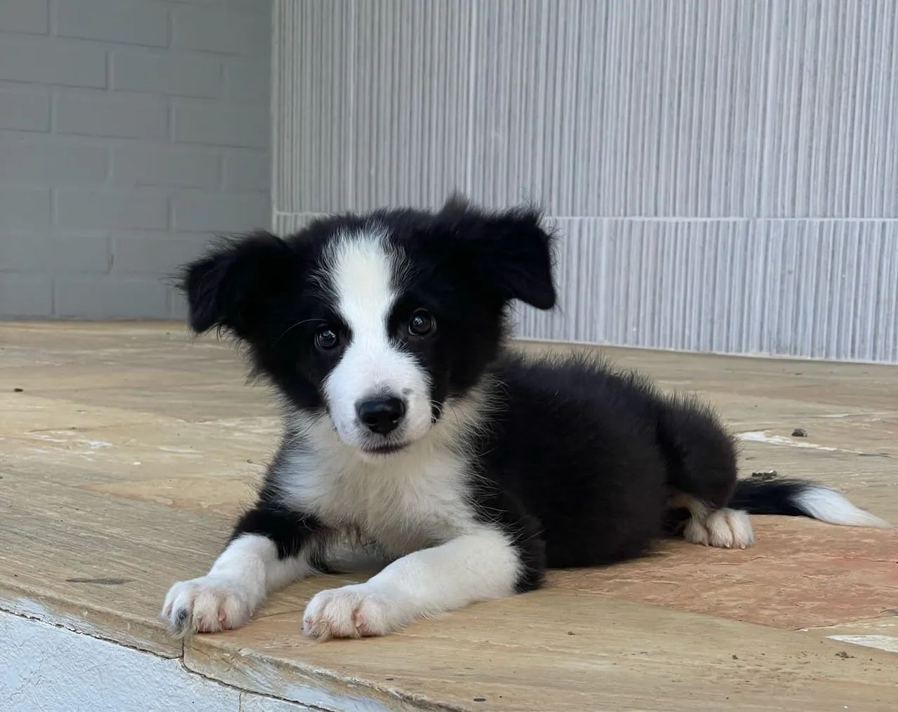 Bebês de Niterói  - Foto 5