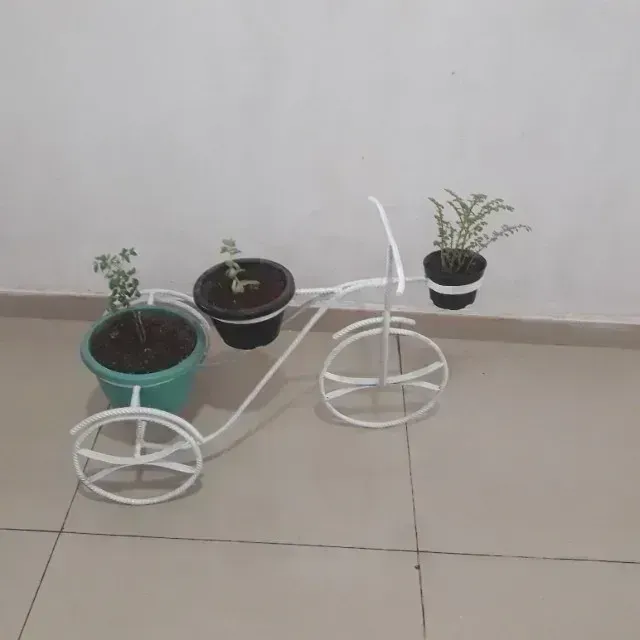 Suporte de plantas em formato de bicicleta