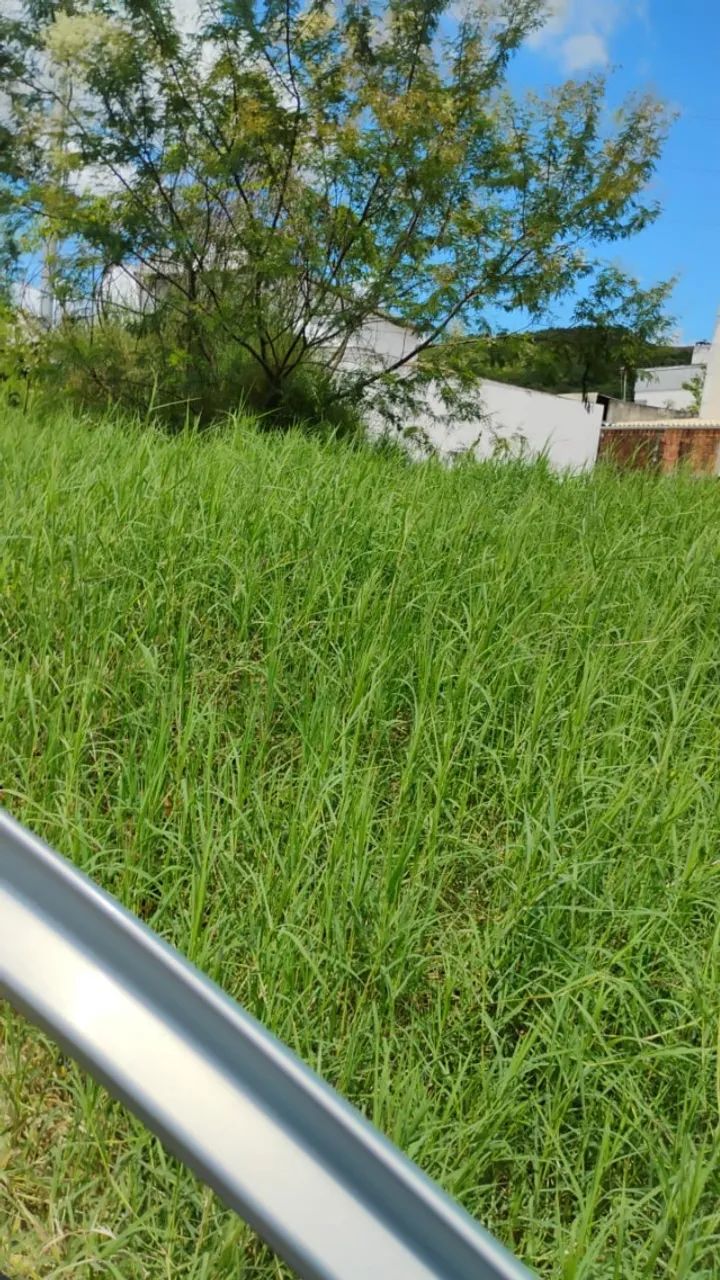 Foto - Palhoça - São Sebastião