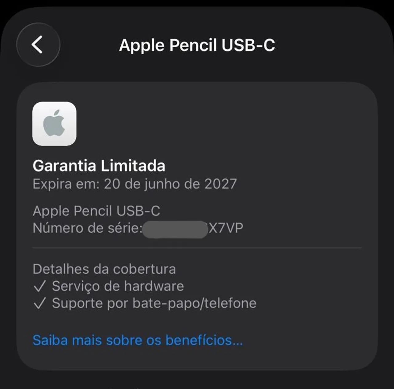 APPLE PENCIL USB-C