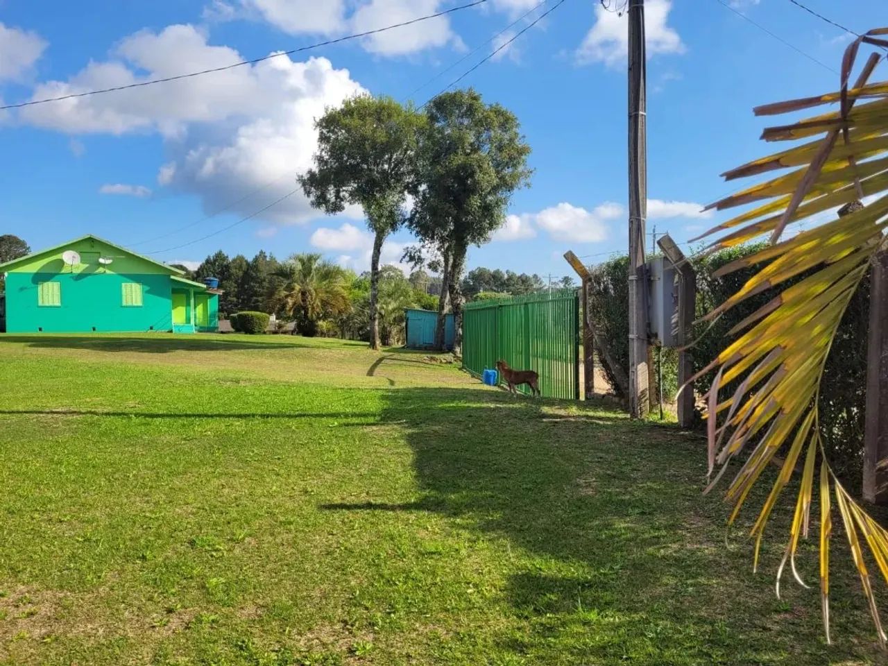 CAXIAS DO SUL - Terreno Padrão - ANA RECH - Foto 6