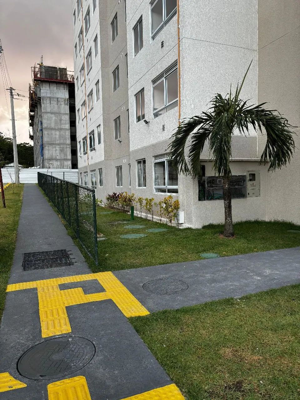 Foto - Recife - Passarinho