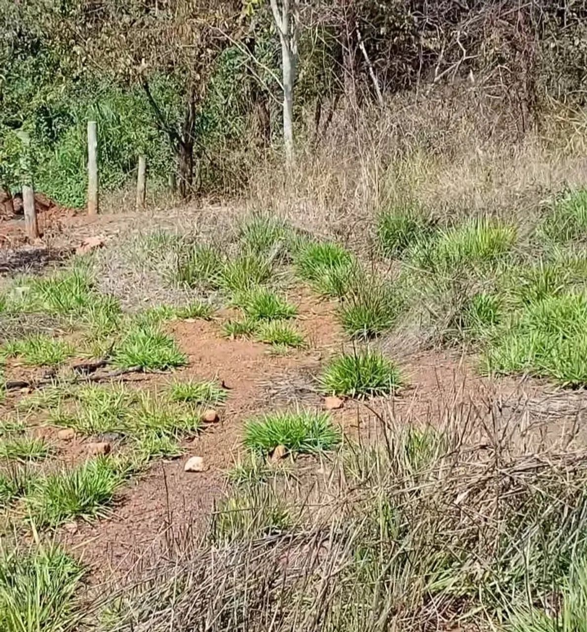 Chacara lote para laser com rio no fundo 35 min.Goiania de carro  . - Foto 5
