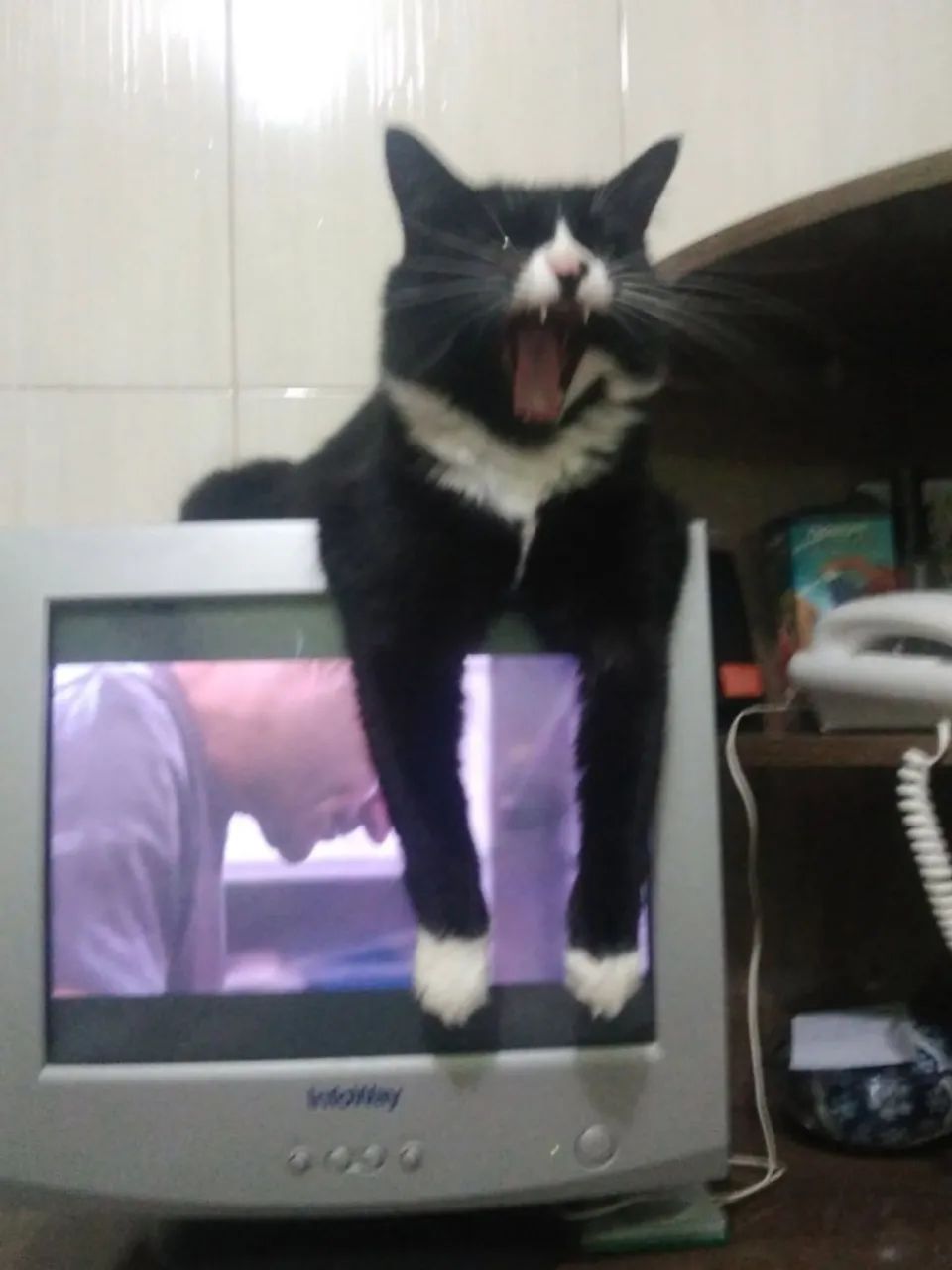 Monitor De Pc 