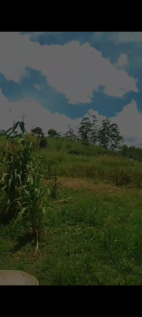 Venda de Chácara Terra Preta  - Foto 2