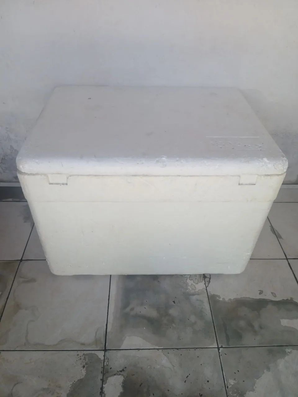 Insulated Cooler for Perishables427577042472151044