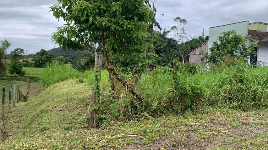 Lindo e Amplo Terreno no bairro Testo Central - Pomerode - SC - Foto 4