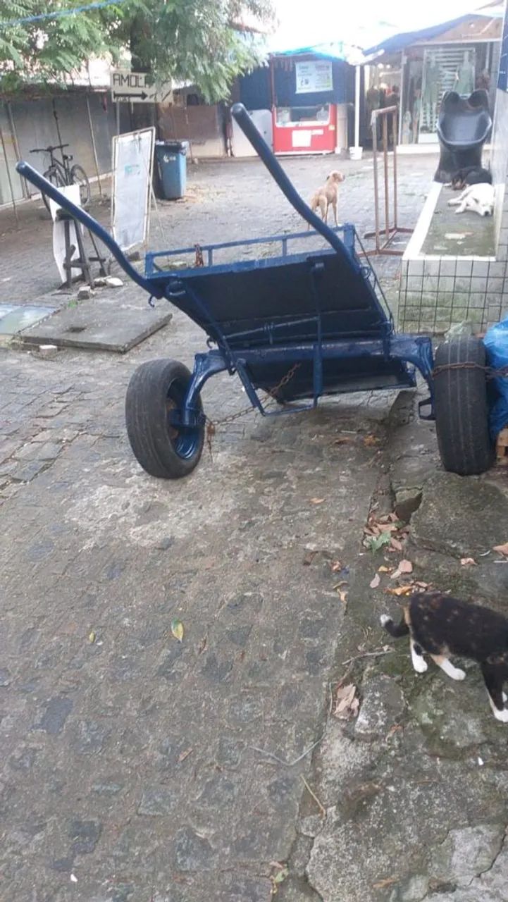 Carroça toda boa vem pra hj.. - Foto 5