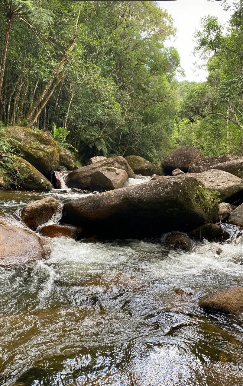 SÍTIO À VENDA - ANITÁPOLIS/SC - Foto 3