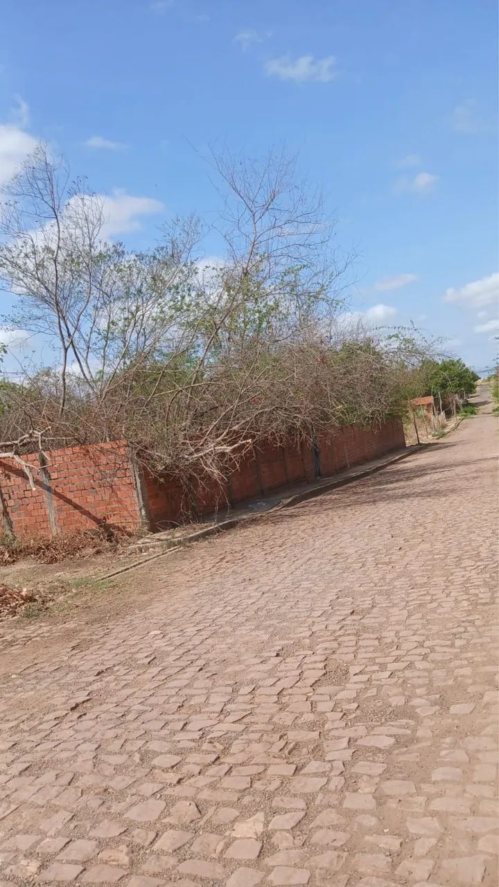 Lotes de terreno