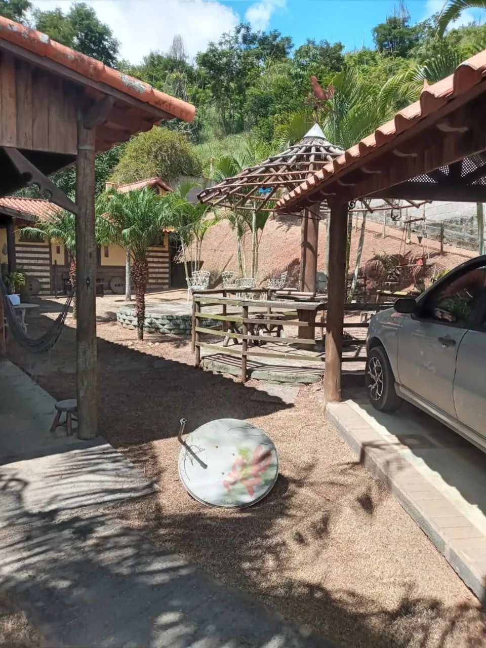 Limpeza de granjas com roçadeira  - Foto 3