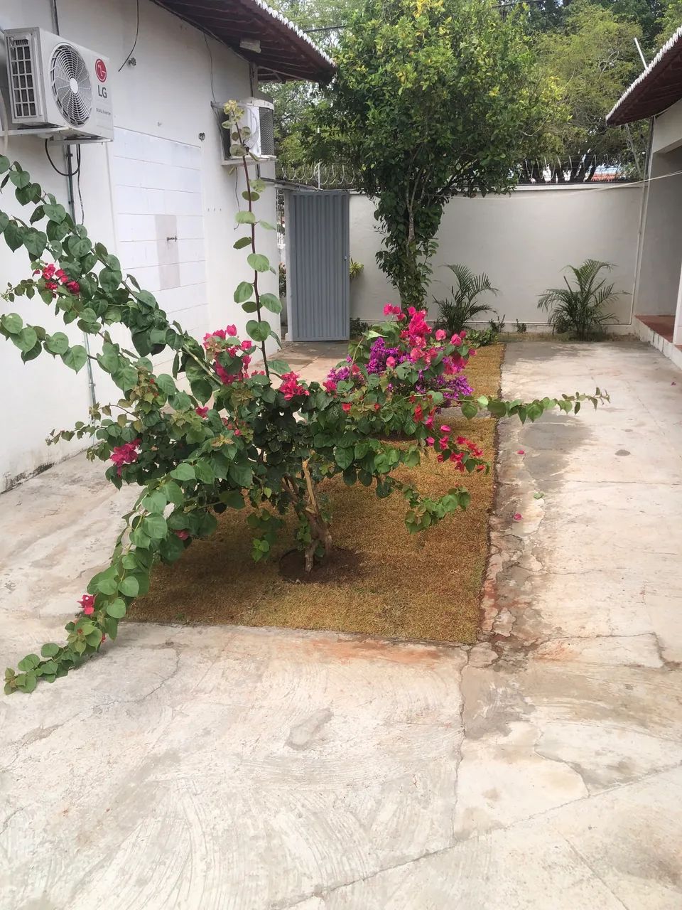 JARDINEIRO - Foto 5