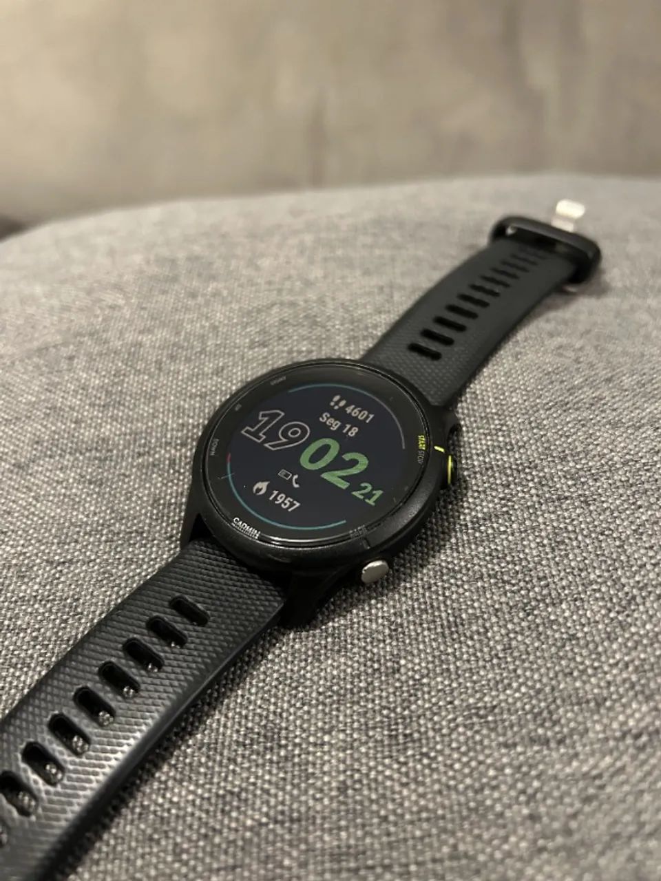 Garmin Forerunner 255 Music - Acessórios - Jardim Carvalho, Bauru
