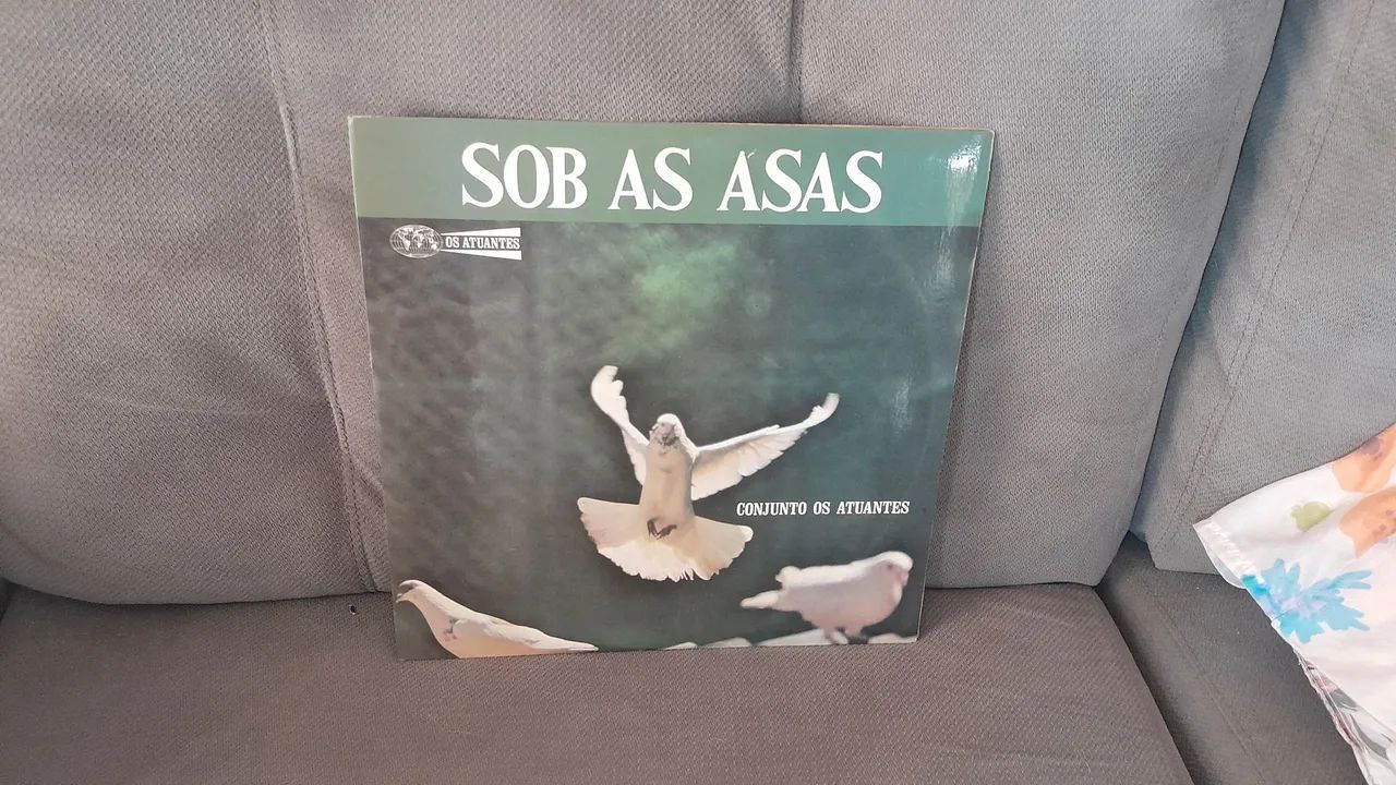 Risco de vinil evangélico sob as asas