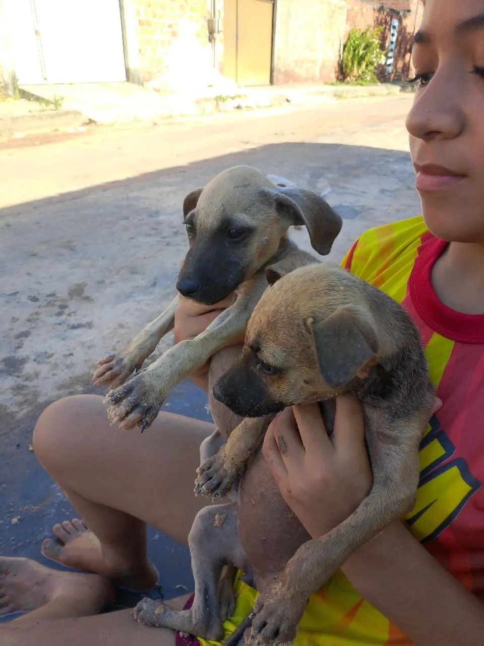 Cachorro ? - Foto 5